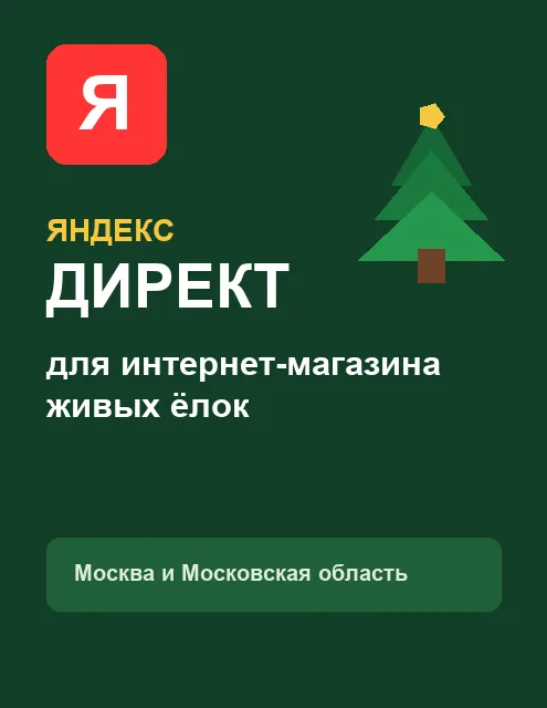 Яндекс Директ для интернет-магазина «Ёлкаголики»
